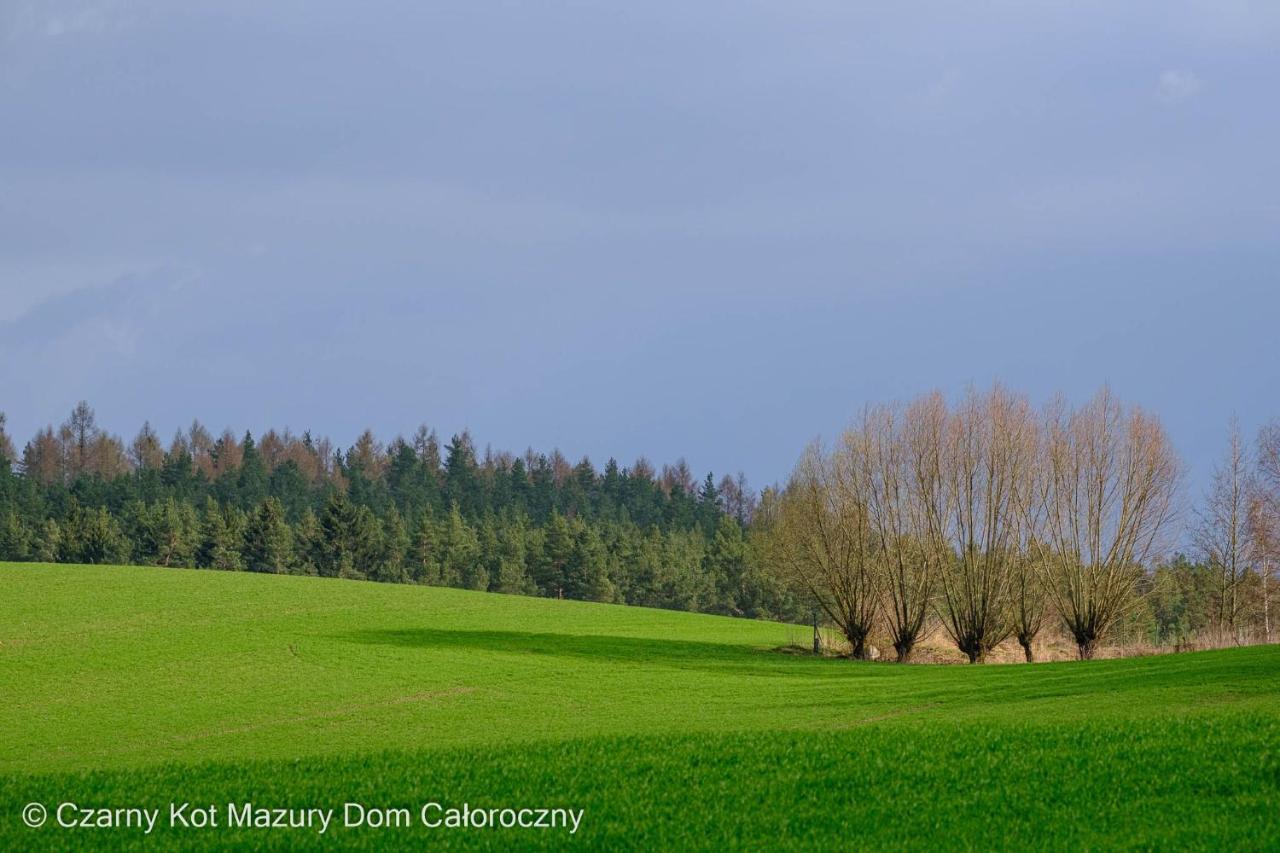 Czarny Kot Mazury Dom Caloroczny Villa Malkinie Exterior foto
